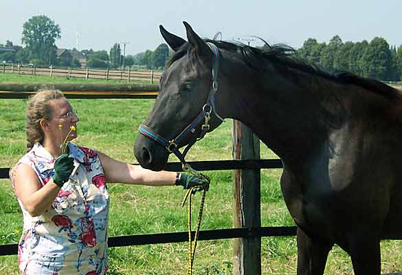 Samara im Sommer 2005